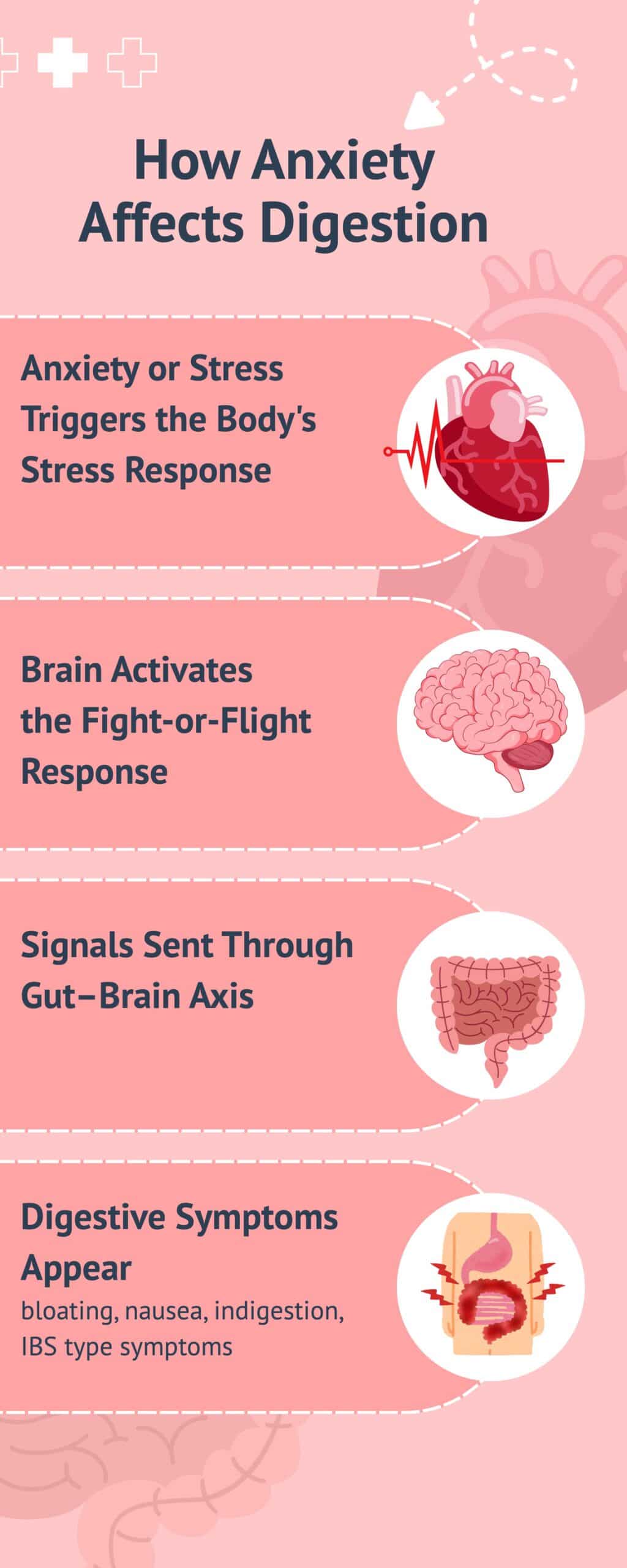 can anxiety cause digestive problems - infographic on the gut-brain connection"